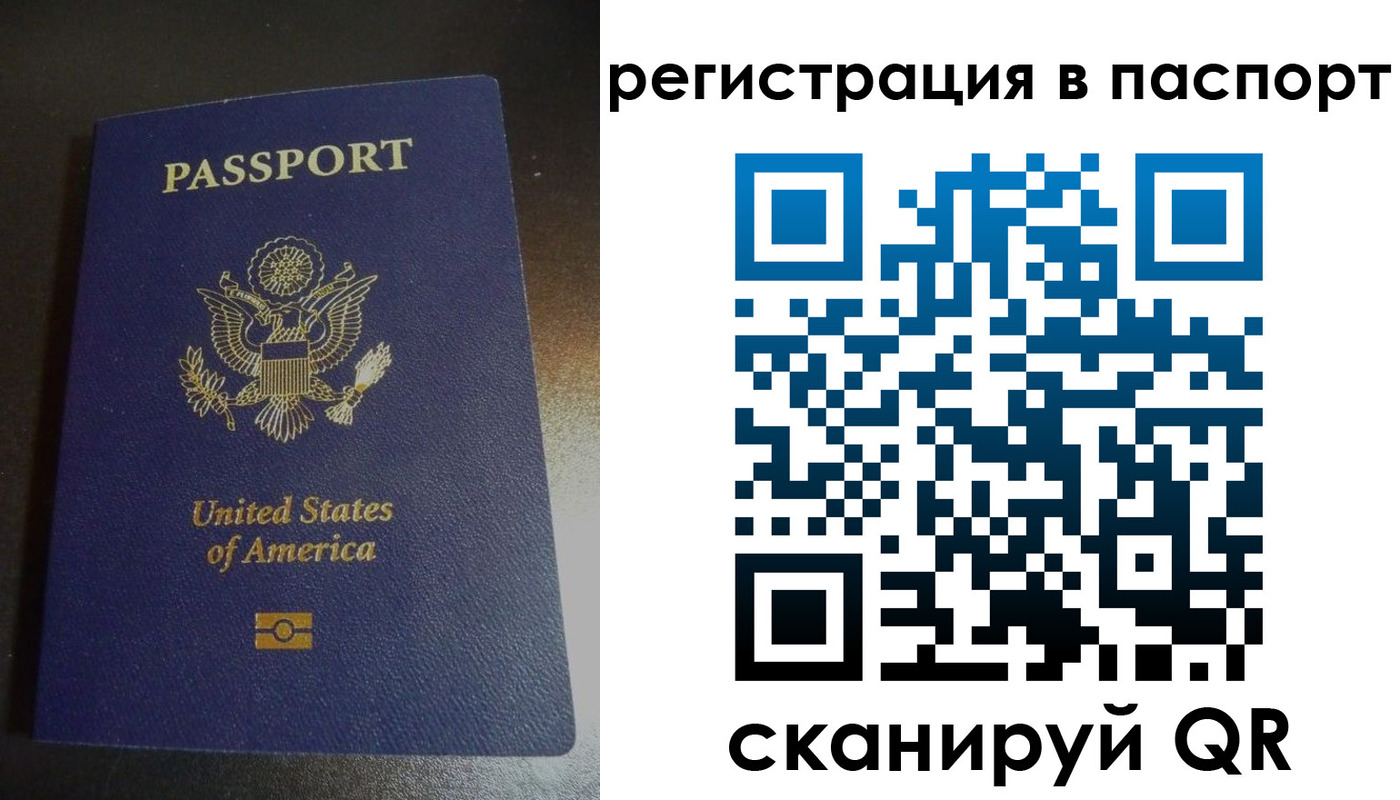 прописка для школы в Кузнецке